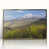 Framed acrylic print of a South American landscape in mid-century modernist style, featuring muted earth tones.