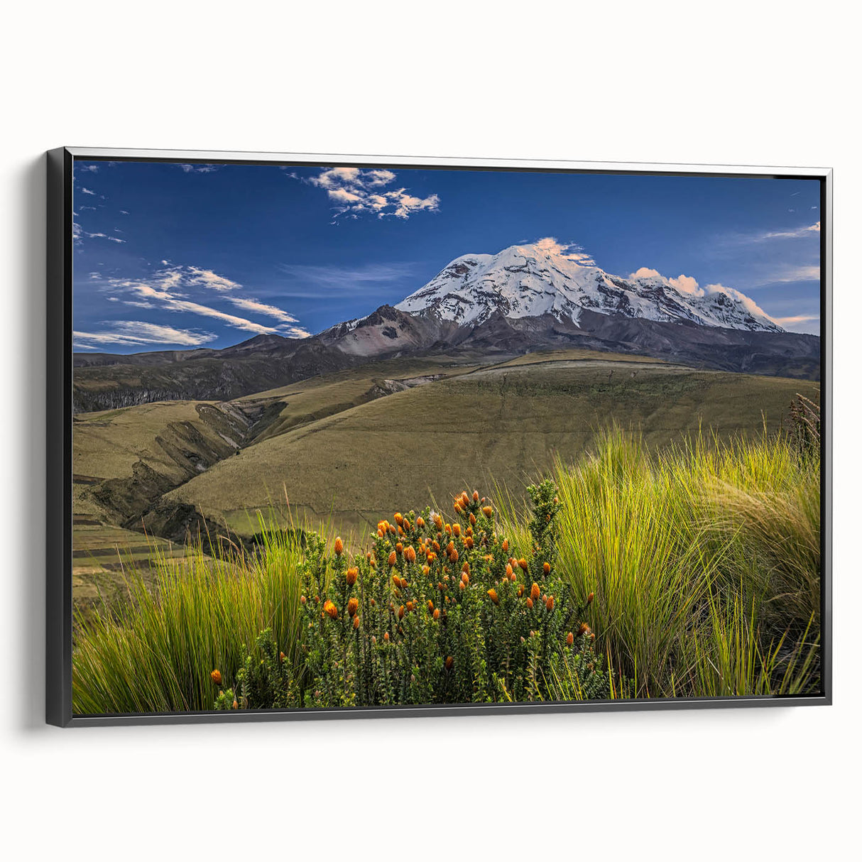 Black and white vintage poster art of Ecuadorian landscape on framed canvas, suitable for bedroom decor.