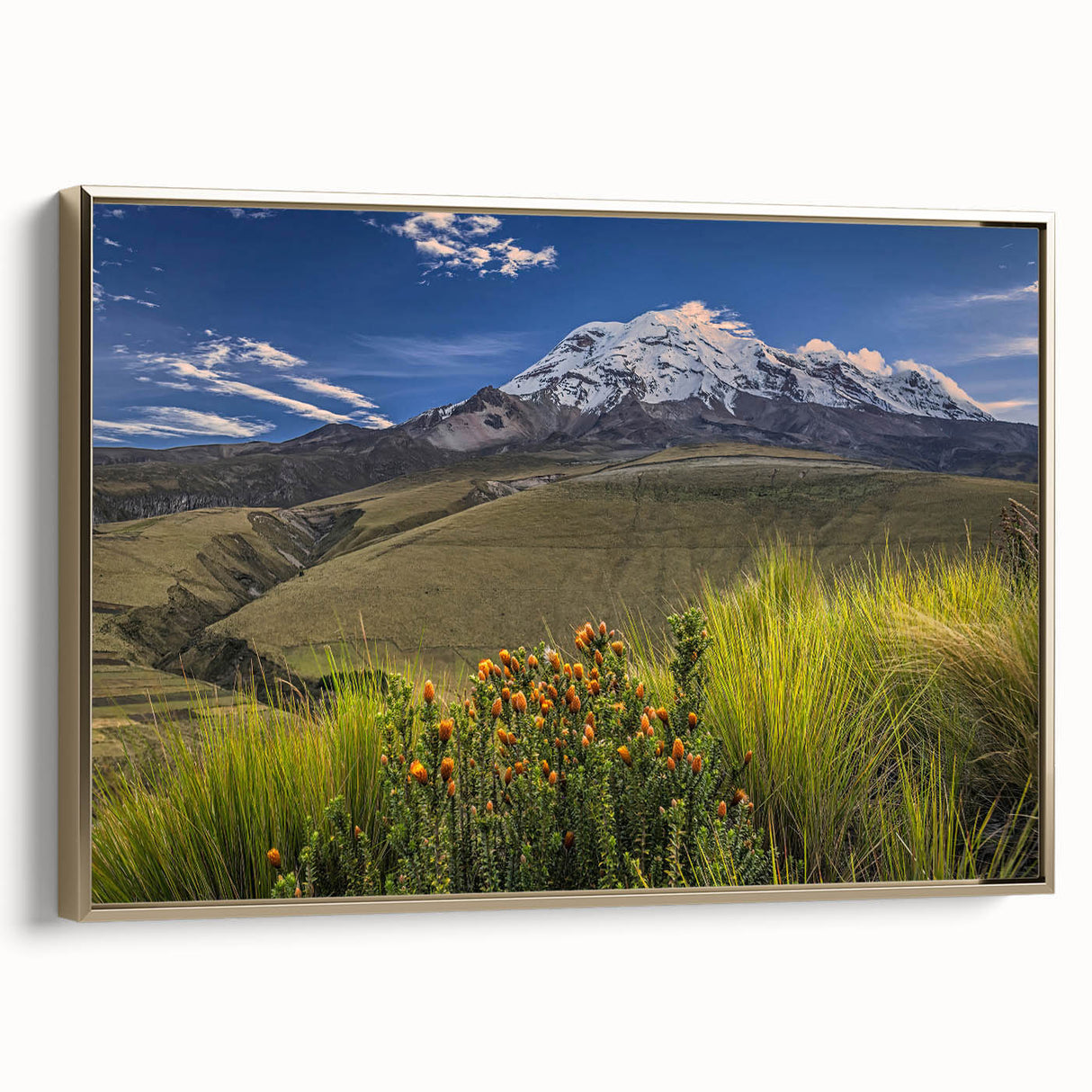 Framed canvas wall art depicting a vintage-style landscape of Ecuador with a black and gold color palette.