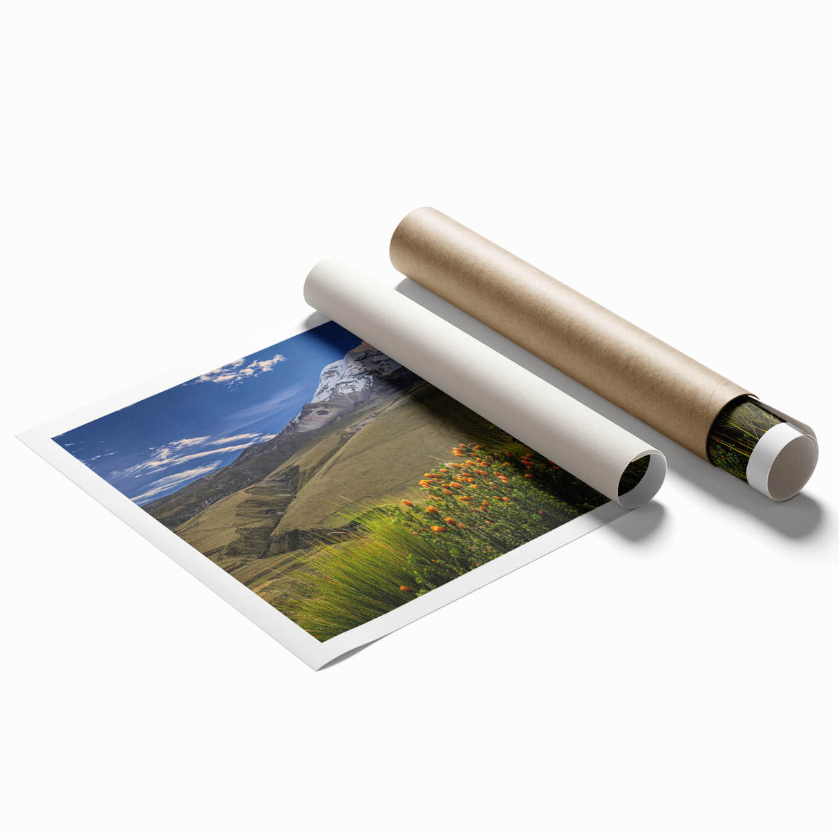 Extra large rolled print of a lush, floral scene in vibrant green and pink tones, ideal for classy bathroom wall art.