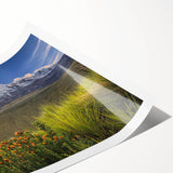 Extra large wall art featuring line art flowers in muted tones on a rolled print, suitable for large living room decor.