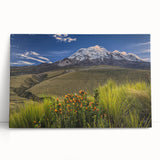 Black and white stretched canvas featuring a large South American landscape, ideal for kitchen wall art or bedroom decor.