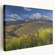 A landscape painting of the Ecuadorian countryside on stretched canvas, featuring lush green tones.