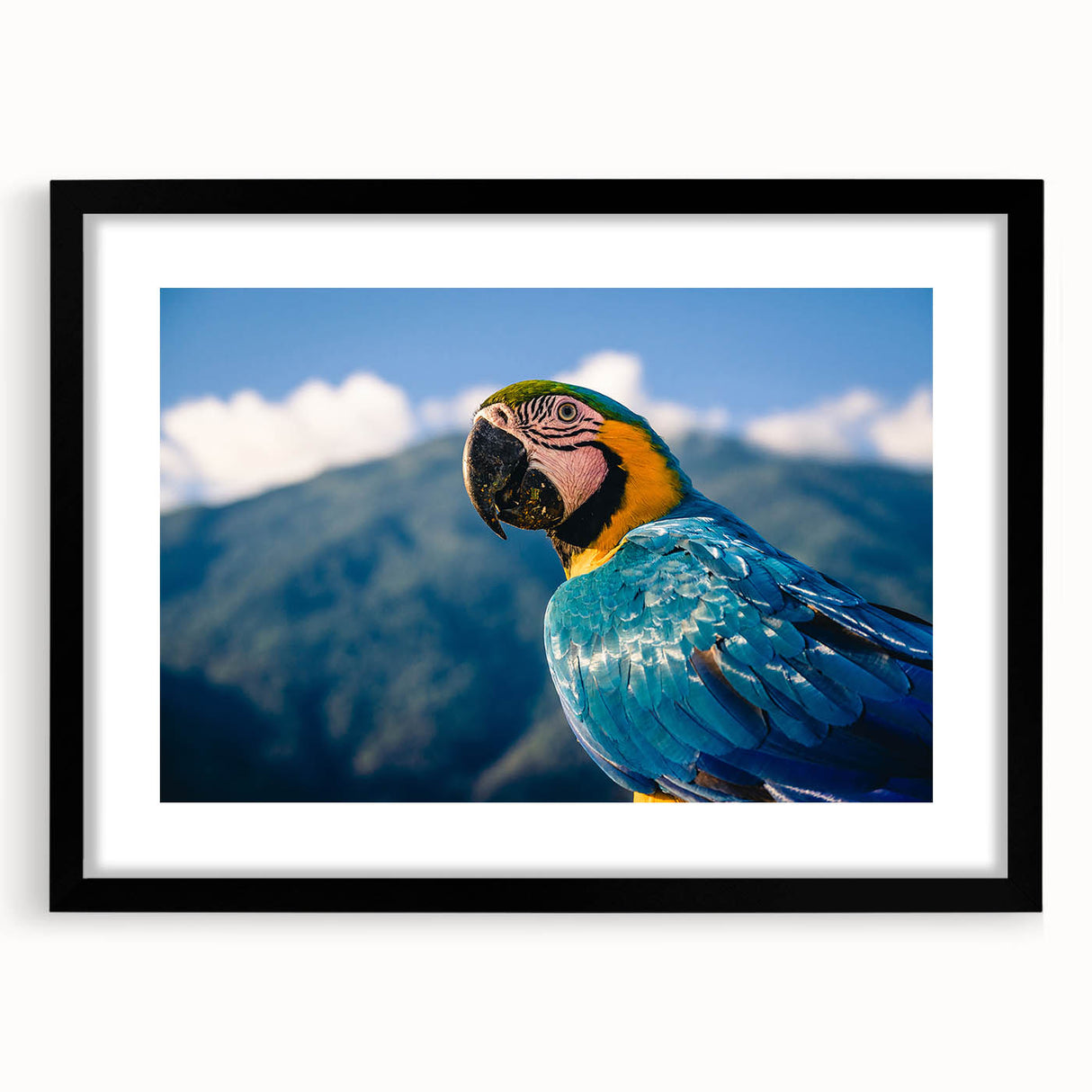 Extra large abstract art print of a vibrant South American scenery on a textured canvas, framed in black.
