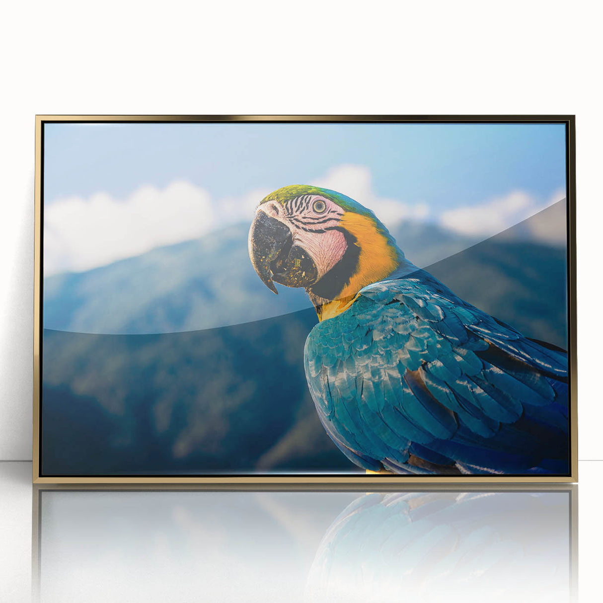 Large art print of a South American scenery in Venezuela, framed in acrylic with gold, mid-century modernist style.