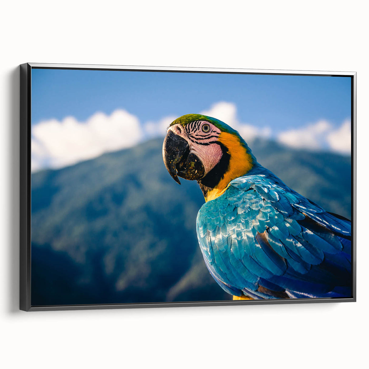 Black and white framed canvas of a vintage Venezuelan landscape, ideal for bedroom wall art.