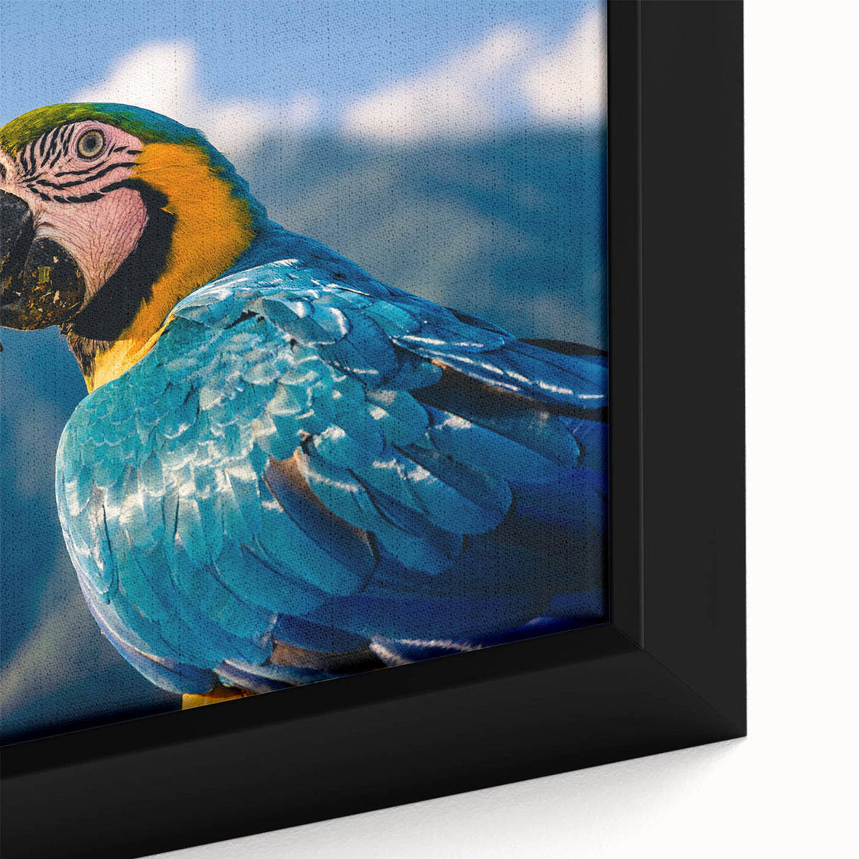Extra large framed canvas featuring a textured depiction of a Venezuelan landscape in black with colorful art accents.