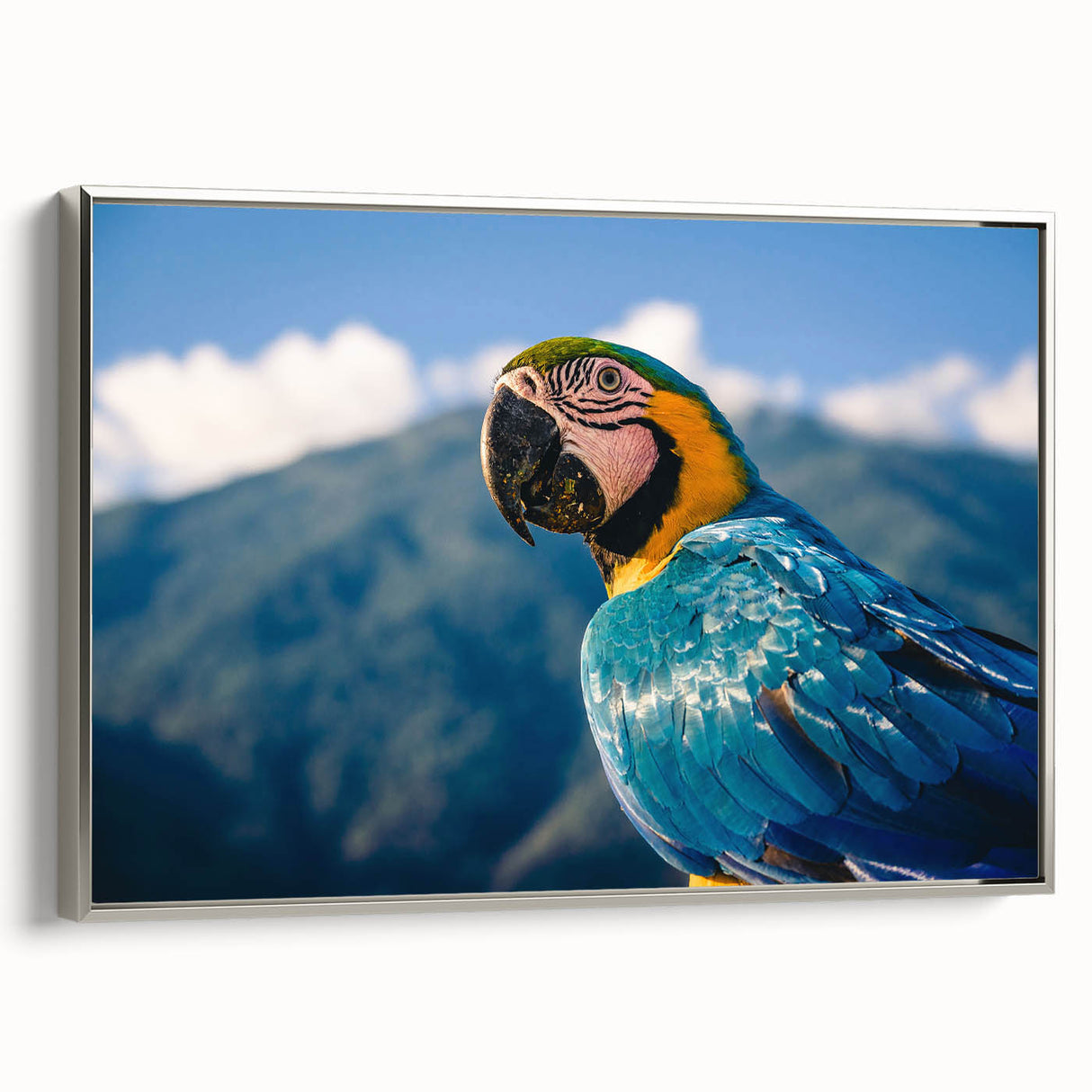 Framed canvas depicting a vintage-style landscape painting of a South American scenery.