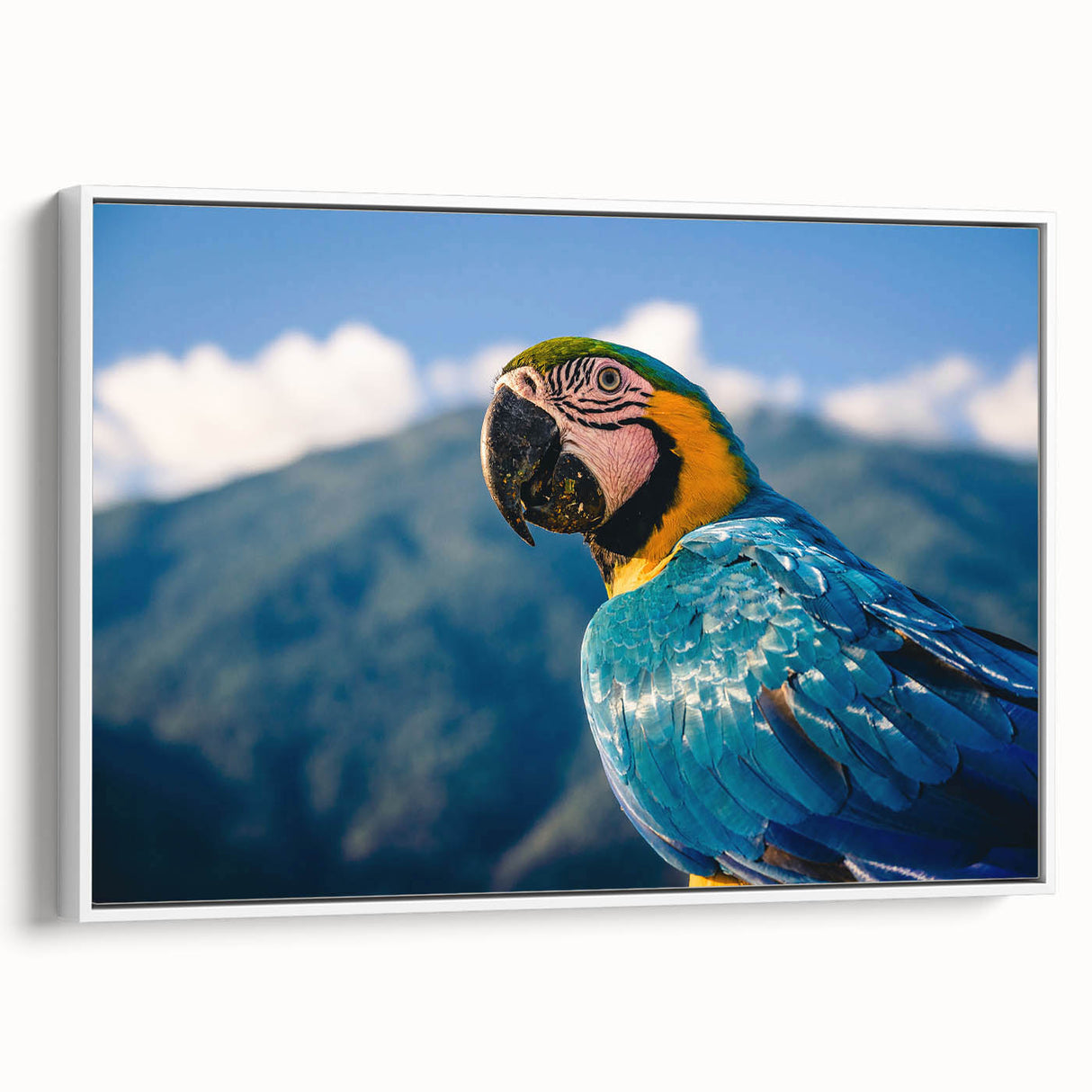 Vintage poster art of a scenic Venezuelan landscape on a framed canvas, featuring vibrant colors.