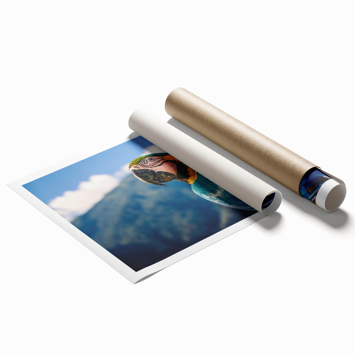 Extra large rolled print featuring a lush Venezuelan landscape in vibrant green and blue tones.