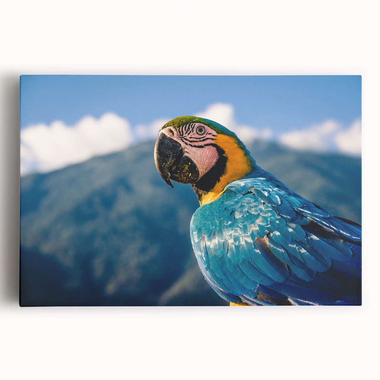 Black and white photograph of a Venezuelan landscape on a large stretched canvas, ideal for kitchen wall art.