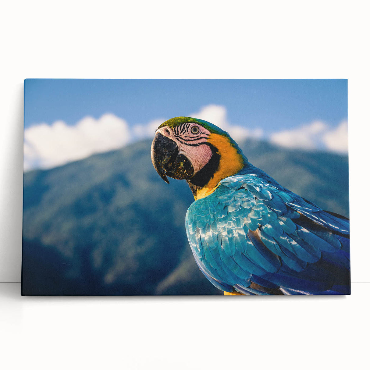 Black and white photograph of a Venezuelan landscape on stretched canvas, ideal for kitchen wall art.