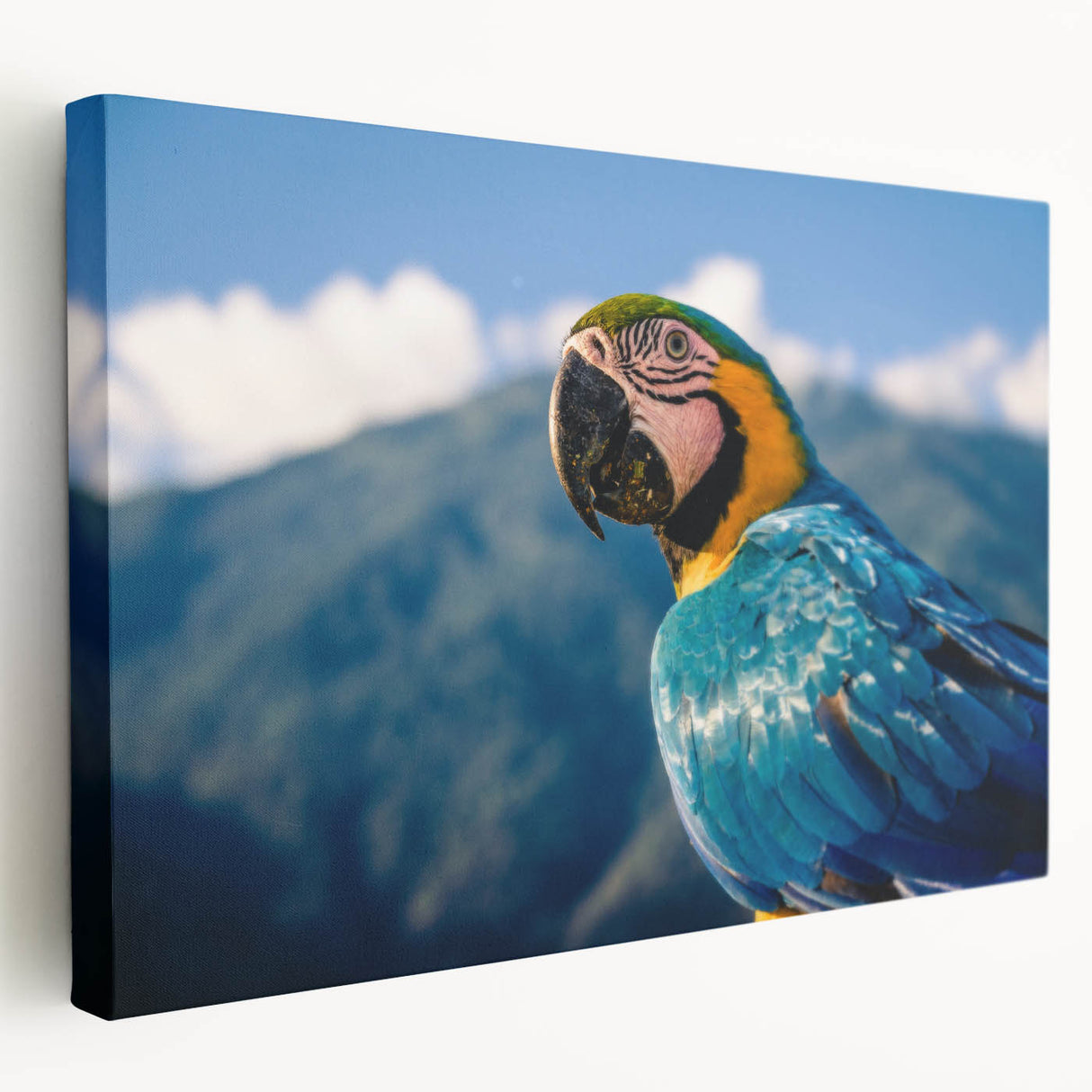 Large art print of a Venezuelan landscape in vibrant greens and blues on stretched canvas, ideal for kitchen wall art.