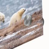 Large abstract depiction of Alaskan scenery in muted blues and greens on acrylic glass, suitable as dining room art.