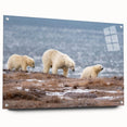 Acrylic print of a serene Alaskan landscape in muted earth tones, ideal for dining room decor.