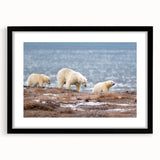 Abstract art print of Alaskan scenery in vibrant colors on a large, textured canvas, framed in black.