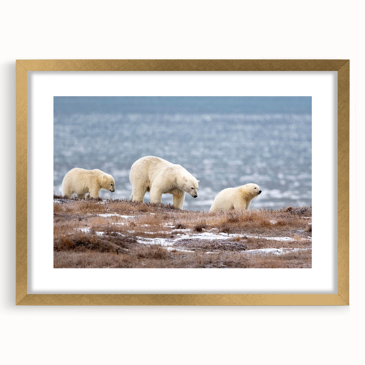 Extra large abstract art print of Alaskan scenery in textured style, with gold frame, ideal for living room decor.