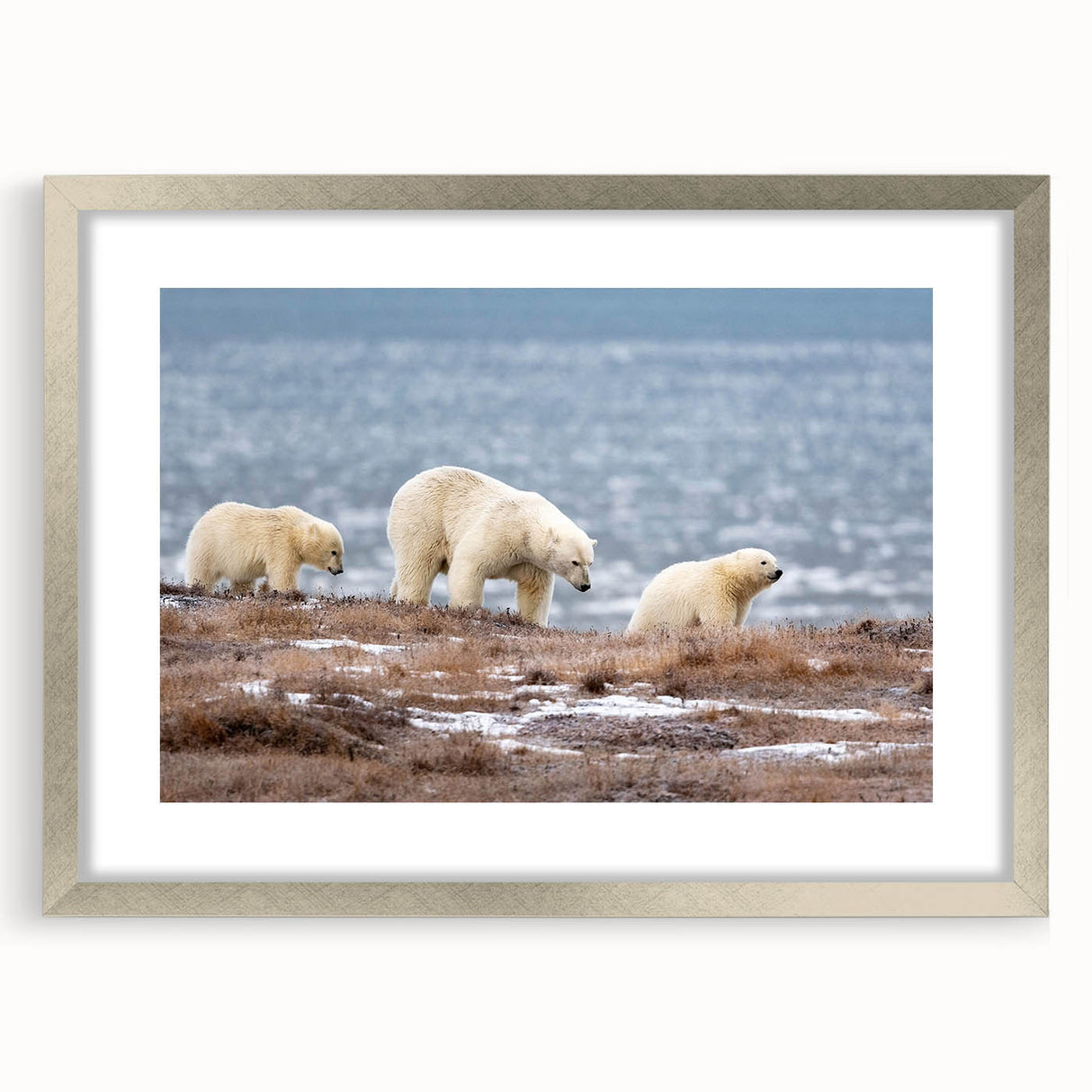 Textured abstract art print of Alaska scenery in muted earth tones, framed in silver, ideal for bedroom art.