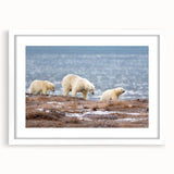 Abstract art print of Alaska scenery in muted blue and gray tones, framed with a white mat.