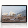 Large abstract wall art depicting an Alaskan landscape in muted earth tones on a framed acrylic.
