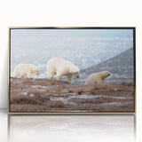 Framed acrylic print of a serene Alaskan landscape in muted earth tones, ideal for modern art wall decor.