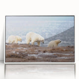 Acrylic print of a serene Alaska landscape in muted blue and white tones, framed in white.