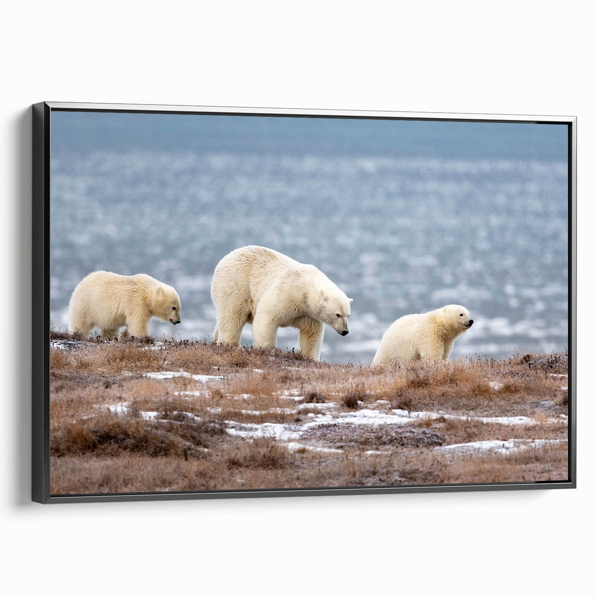 Black and white wall art of an Alaskan landscape on framed canvas, ideal for bedroom decor.