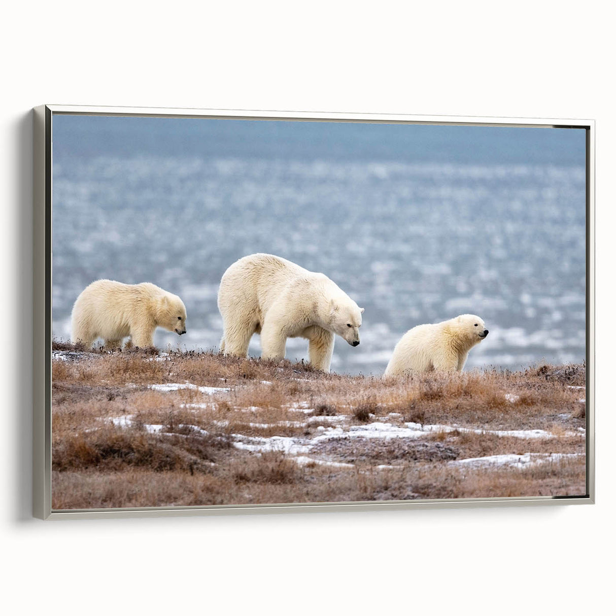 Framed canvas featuring a vintage-style landscape art painting of an Alaskan scenery in muted earth tones.