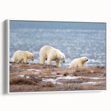 Vintage poster art of an Alaskan landscape on framed canvas, featuring a palette of black and vibrant colors.