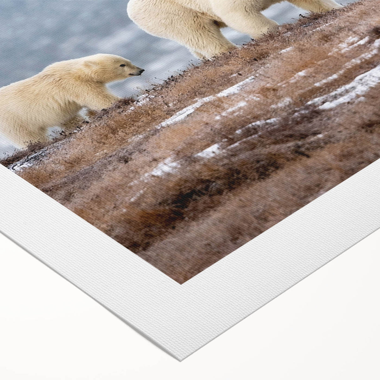 Art deco poster of Alaska scenery in cool blue and white tones on rolled canvas, suitable for dining room wall art.