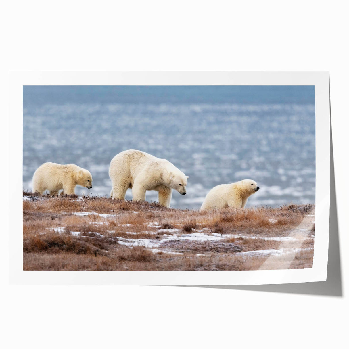 Alaskan landscape rolled print featuring muted earth tones and floral elements, ideal for art wall dining room.