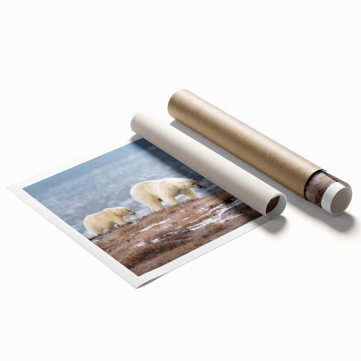 Extra large rolled print of a serene Alaskan landscape with muted green and blue tones, ideal for classy bathroom wall art.