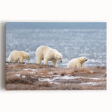 Black and white photograph of a serene Alaskan landscape on large stretched canvas, ideal for kitchen wall art.