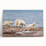 Black and white stretched canvas of Alaskan scenery, ideal for kitchen wall art or bedroom ambiance.