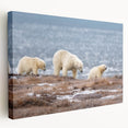 Alaskan landscape on large stretched canvas, featuring muted earth tones, ideal for kitchen wall art.