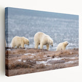 Alaskan landscape on large stretched canvas, featuring muted earth tones, ideal for kitchen wall art.