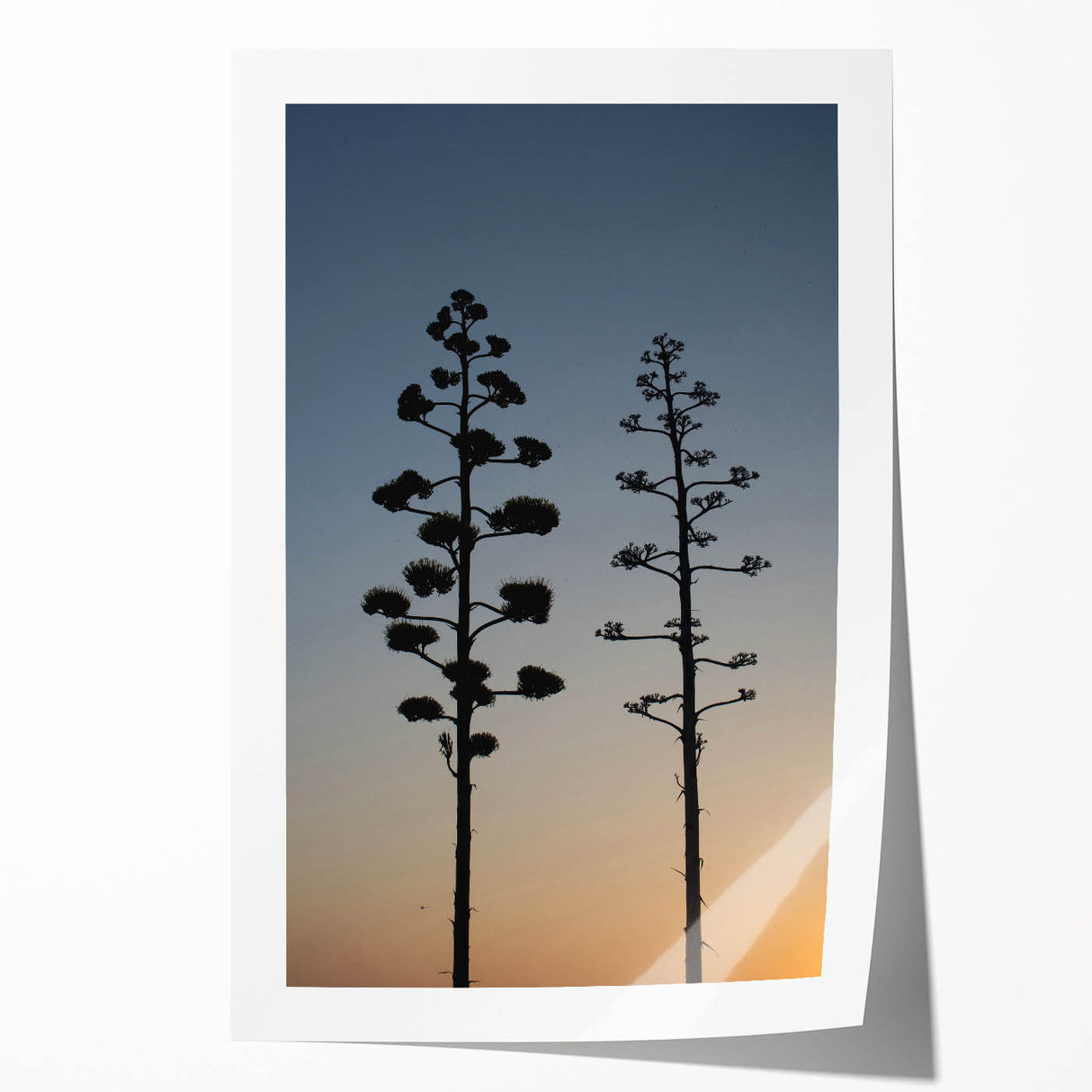 Extra large rolled print of Los Angeles scenery with pastel floral elements, ideal for art wall dining room.