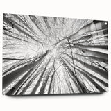 Acrylic print of a Colorado Aspen landscape in natural hues, ideal for dining room or bedroom decor.