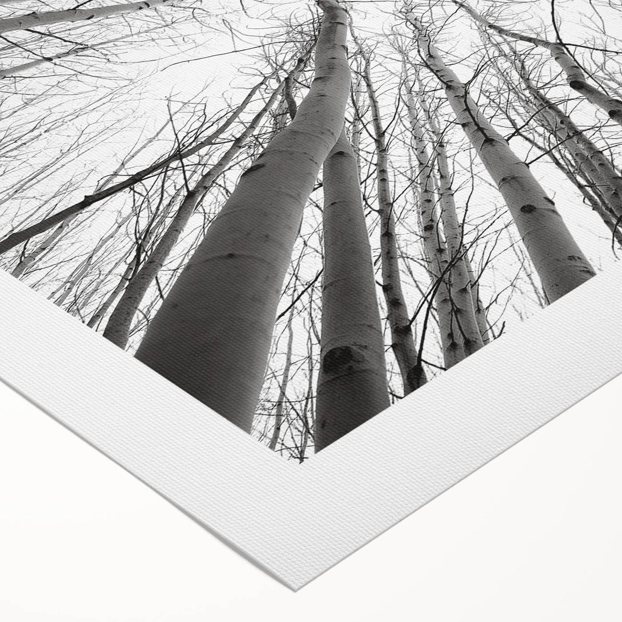 Art deco poster featuring Aspen, Colorado scenery in muted earth tones on rolled canvas, suitable for dining room decor.