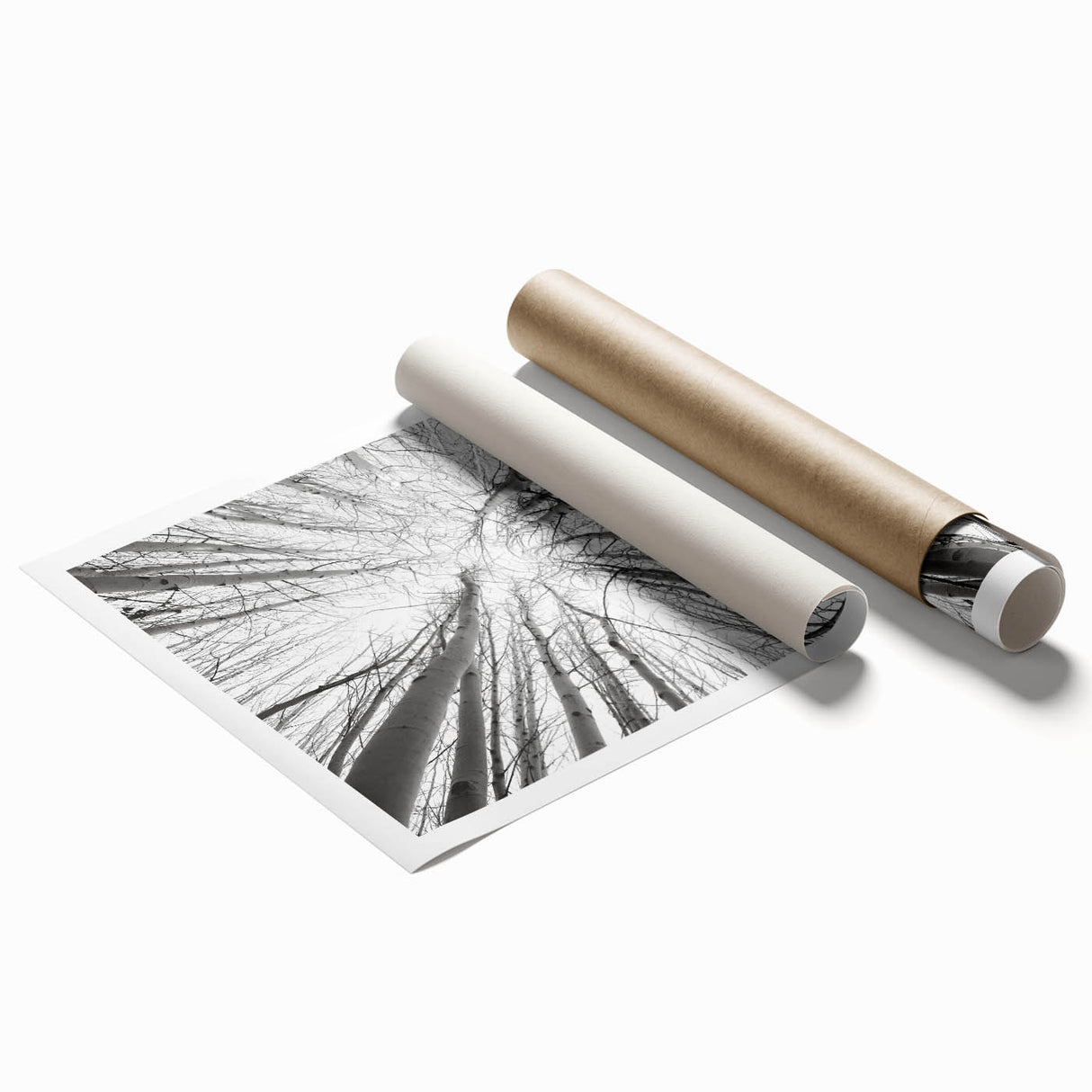 Extra large rolled print featuring a serene Aspen, Colorado scenery with vibrant fall colors.