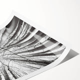 Extra large wall art featuring line art flowers in muted earth tones on a rolled canvas, ideal for large living room decor.