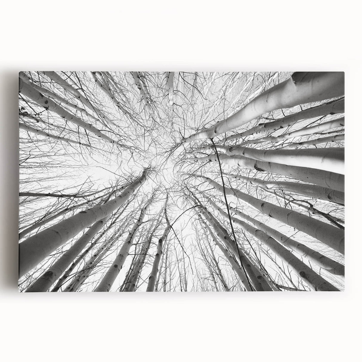Black and white stretched canvas of Aspen, Colorado scenery, ideal for kitchen wall art.