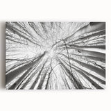 Black and white stretched canvas of Aspen, Colorado scenery, ideal for kitchen wall art.