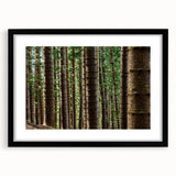 Abstract art print of a colorful Kauai scenery on textured canvas, framed in black, ideal for living room decor.