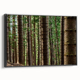 Black and white framed canvas of Kauai landscape, vintage poster style, ideal for bedroom wall decor.