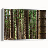 Vintage poster art of Kauai, Hawaii, featuring vibrant colors on a framed canvas, ideal for living room decor.