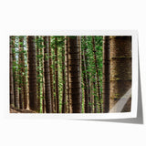 Rolled print of Kauai landscape with lush greenery and waterfalls, in soft green and blue tones.