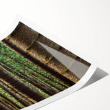 Extra large rolled print of line art flowers in black and white, ideal for large living room wall art.