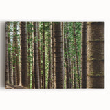 Large black and white canvas print of Kauai scenery, ideal for kitchen wall art.