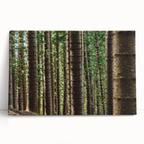 Black and white stretched canvas of Kauai scenery, ideal for kitchen wall art or bedroom ambiance.